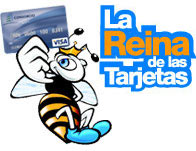 Tarjeta de Cr&eacute;dito Visa Consorcio