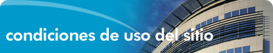 Condiciones de Uso del Site